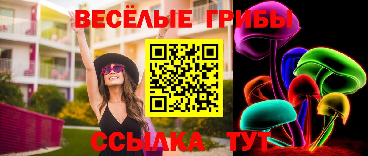 Псилоцибиновые грибы Psilocybe  купить наркотик  Волхов  Вход с VPN 